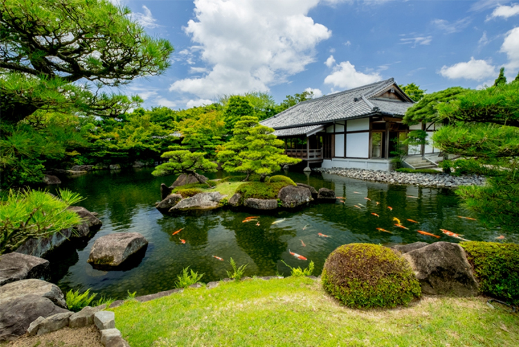 TUYỂN TTS SỬ DỤNG THIẾT BỊ XÂY DỰNG, CƠ KHÍ VÀ CHĂM SÓC CẢNH QUAN SÂN VƯỜN CÂY CẢNH